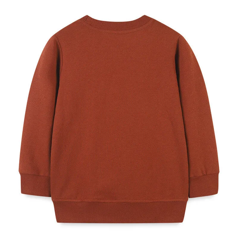 Boys Brown Sweatshirt With Print