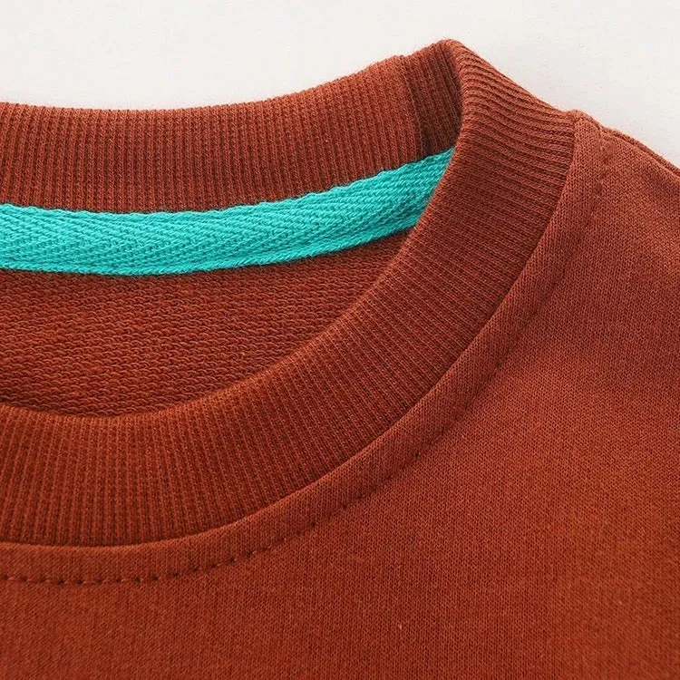 Boys Brown Sweatshirt With Print