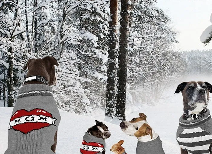 Large Dog Wool Sweater - "Heart MOM"