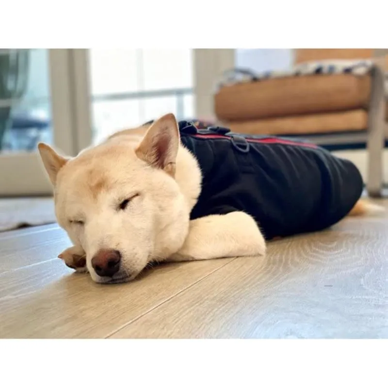 Zip Up Fleece Dog Sweater Winter Small Dog Sweater